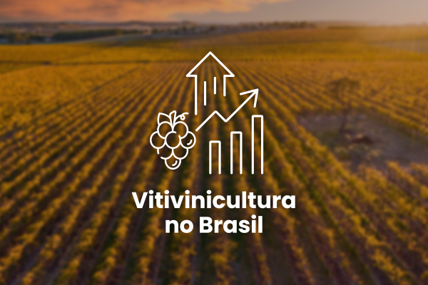 Vitivinicultura no brasil - capa_Prancheta 1 cópia
